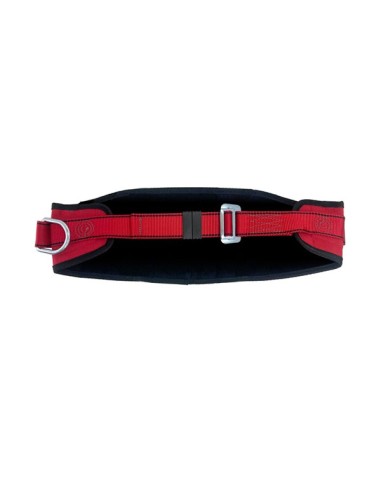Cinturon de posicionamiento Accesus CP10 acolchado lumbar norma EN 358