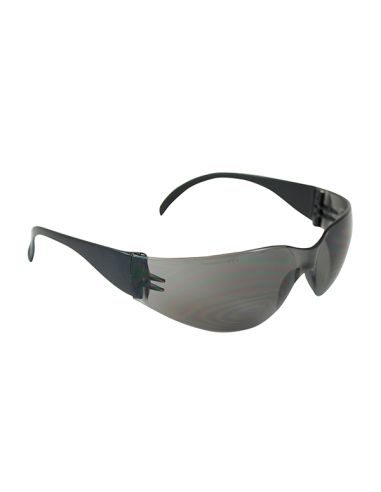 GAFAS ZENON Z12 LENTE GRISTRANSP.