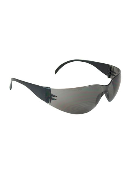 GAFAS ZENON Z12 LENTE GRISTRANSP.