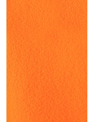 CHAQUETA POLAR AV VELILLA 181