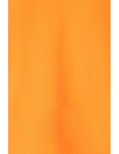 FORRO POLAR AV VELILLA 180