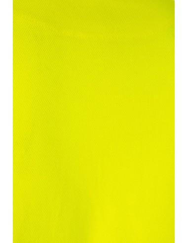 POLO ALGODÓN ML AV VELILLA 305514