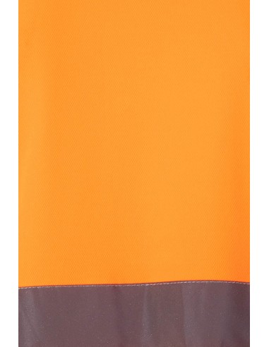 POLO ALGODÓN MC AV VELILLA 305512