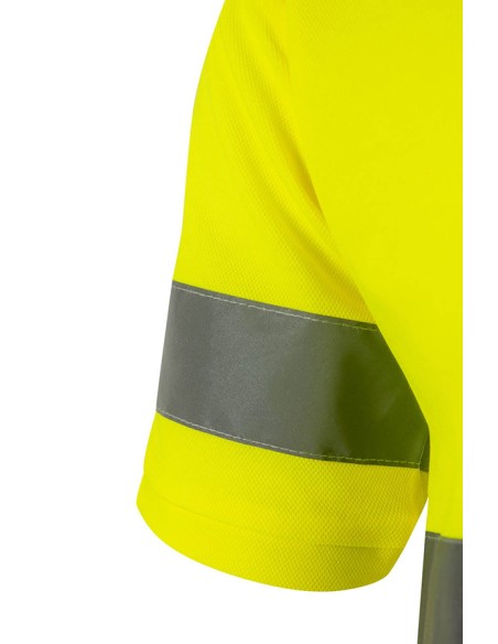 POLO ALGODÓN MC AV VELILLA 305512