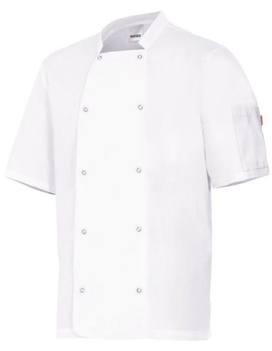 CHAQUETA VELILLA 405205 COCINA AUTOMÁTICOS MANGA CORTA