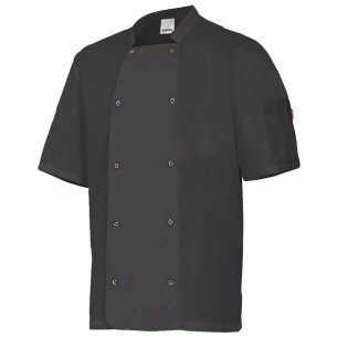 CHAQUETA VELILLA 405205 COCINA AUTOMÁTICOS MANGA CORTA 2