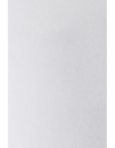 SUDADERA VELILLA 105701 CUELLO REDONDO