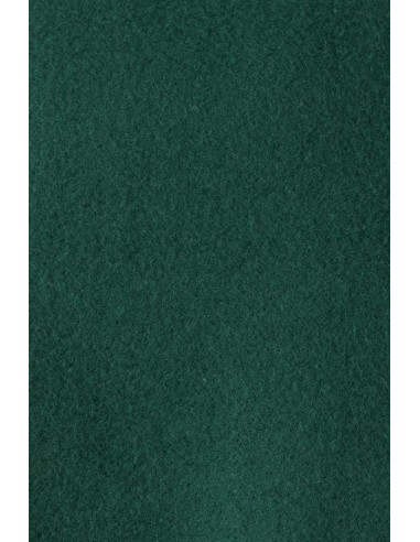 SUDADERA VELILLA 105701 CUELLO REDONDO