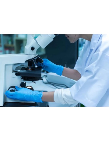 GUANTE DESECHABLE DE NITRILO AZUL SIN POLVO NA35