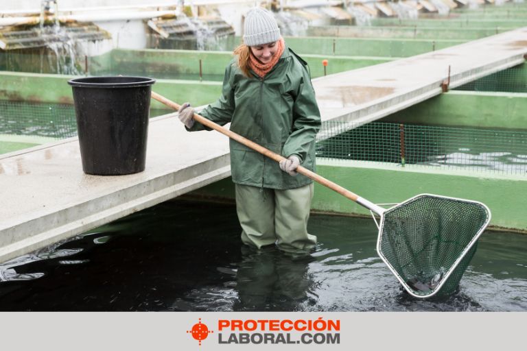 Ropa Impermeable o Repelente al Agua