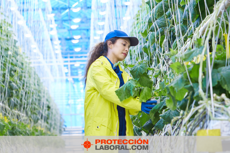 Traje de agua impermeable verde